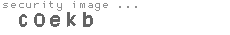 security image