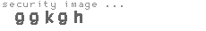 security image