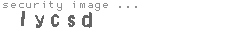security image