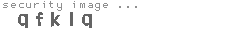 security image