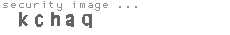 security image