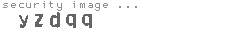 security image