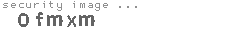 security image