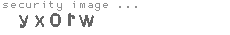 security image