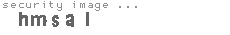 security image