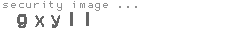 security image