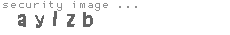 security image