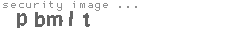 security image