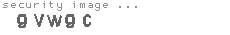 security image