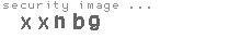 security image