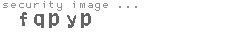 security image