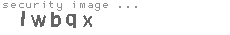 security image