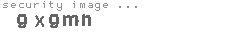 security image