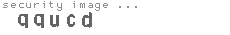 security image