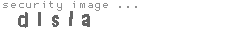 security image
