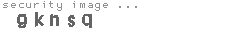 security image