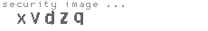 security image