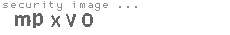 security image