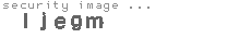 security image