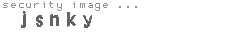 security image