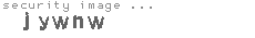 security image
