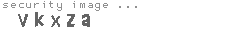 security image