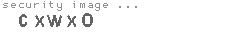 security image