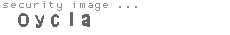security image