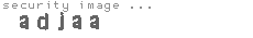 security image