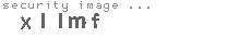 security image
