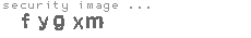security image