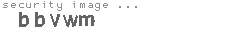 security image