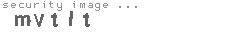 security image