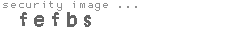 security image
