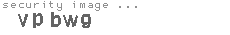 security image