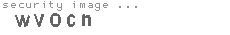 security image