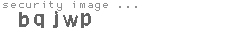 security image