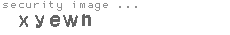 security image