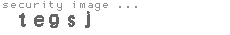 security image