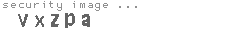 security image