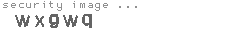 security image
