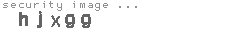 security image