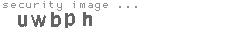 security image