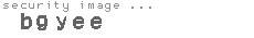 security image