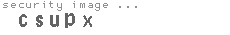 security image
