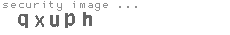 security image