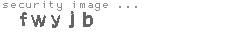 security image