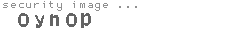 security image