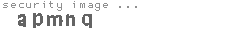 security image