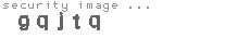 security image